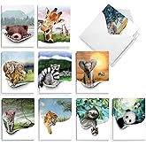 The Best Card Company 20 Assorted Blank Note Cards Boxed Set 4 x 5.12 w/Envelopes For Men, Women (10x2 Designs) Animal Windows AM8590OCB-B2x10