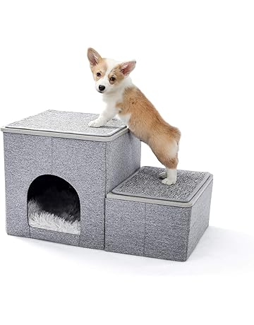 amazon prime dog stairs