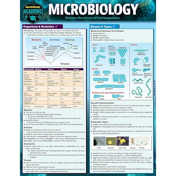 E-Z BIOLOGY MICROBIOLOGY CHEMISTRY ３冊セット E-Z BIOLOGY MICROBIOLOGY CHEMISTRY 3冊セット - メルカリ