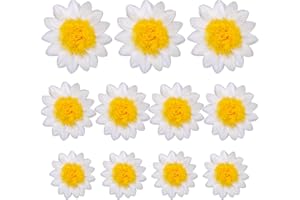 NOVWANG 15 Pack Daisy Tissue Paper Pom Poms White Yellow Flowers Wall Hanging for Birthday Baby Shower Wedding Party Classroo
