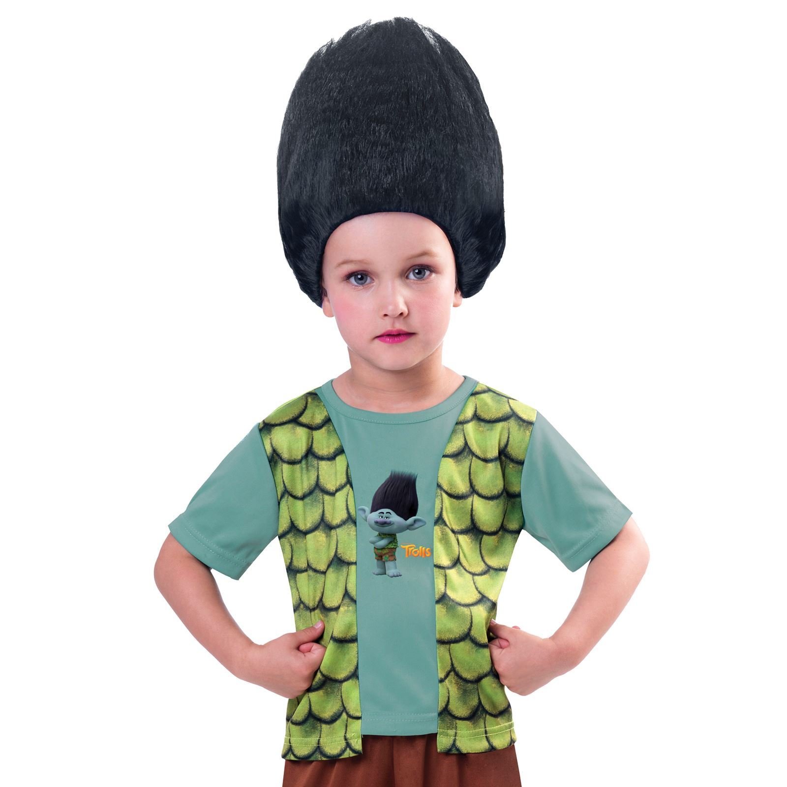 Years Official Trolls Branch Troll Fancy Dress Tv Desertcart