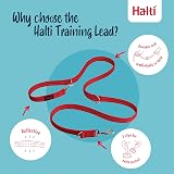 Halti Training Lead - Double-Ended No-Pull Dog Lead, Small, Red, 2m view 3