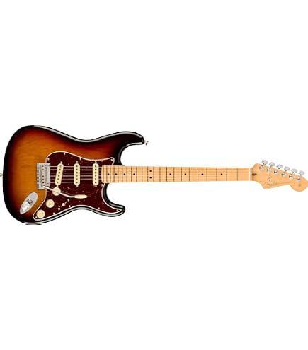 Amazon.com: Fender American Professional II Stratocaster - Roasted