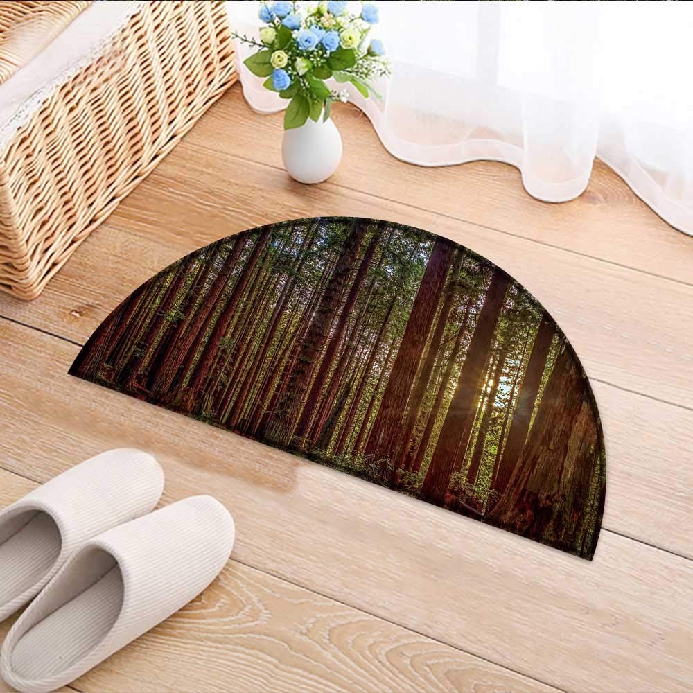 Amazon Com Kitchen Rugs Floor Mats Redwood Forest Waterproof