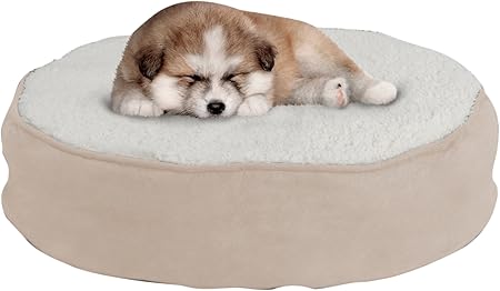 round memory foam dog bed
