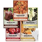 Gardeners Basics Habanero Pepper Seeds for Planting, 5 Varieties, Heirloom | Orange, Red, Yellow, Chocolate and Mini White habanero seeds; 5 heirloom packets, 300 mg each, with 5 blank plant markers.