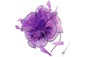 DRESHOW Fascinators Hat Tea Party Headwear Ribbons Feathers on a Headband and a Clip for Girls and Women