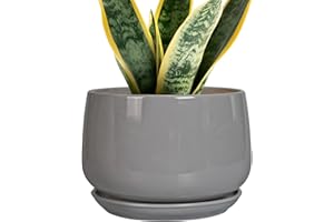 G EPGardening Modern Ceramic Planter - 7 Inch Round Modern Plant Pot Indoor with Drainage and Ceramic Tray Indoor Outdoor for Flower, Vanity Decor, Birthday Gifts, Grey