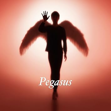 Amazon Pegasus 初回生産限定盤 Maxi 2cd 布袋寅泰 J Pop ミュージック
