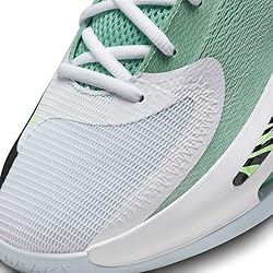 Nike Men's Zoom Freak 4 Basketball