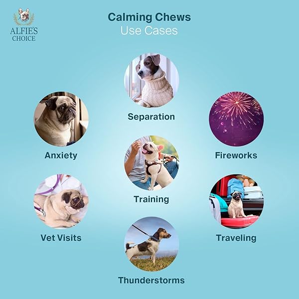 ALFIE’S CHOICE DOG CALMING CHEWS – DOG ANXIETY RELIEF STRESS & SEPARATION SUPPORT – PET HEMP CALMING CHEWS FOR DOGS ALL BREEDS – CALMING DOG TREATS SOFT CHEWS – 12 OZ, APPX 160 COUNT
