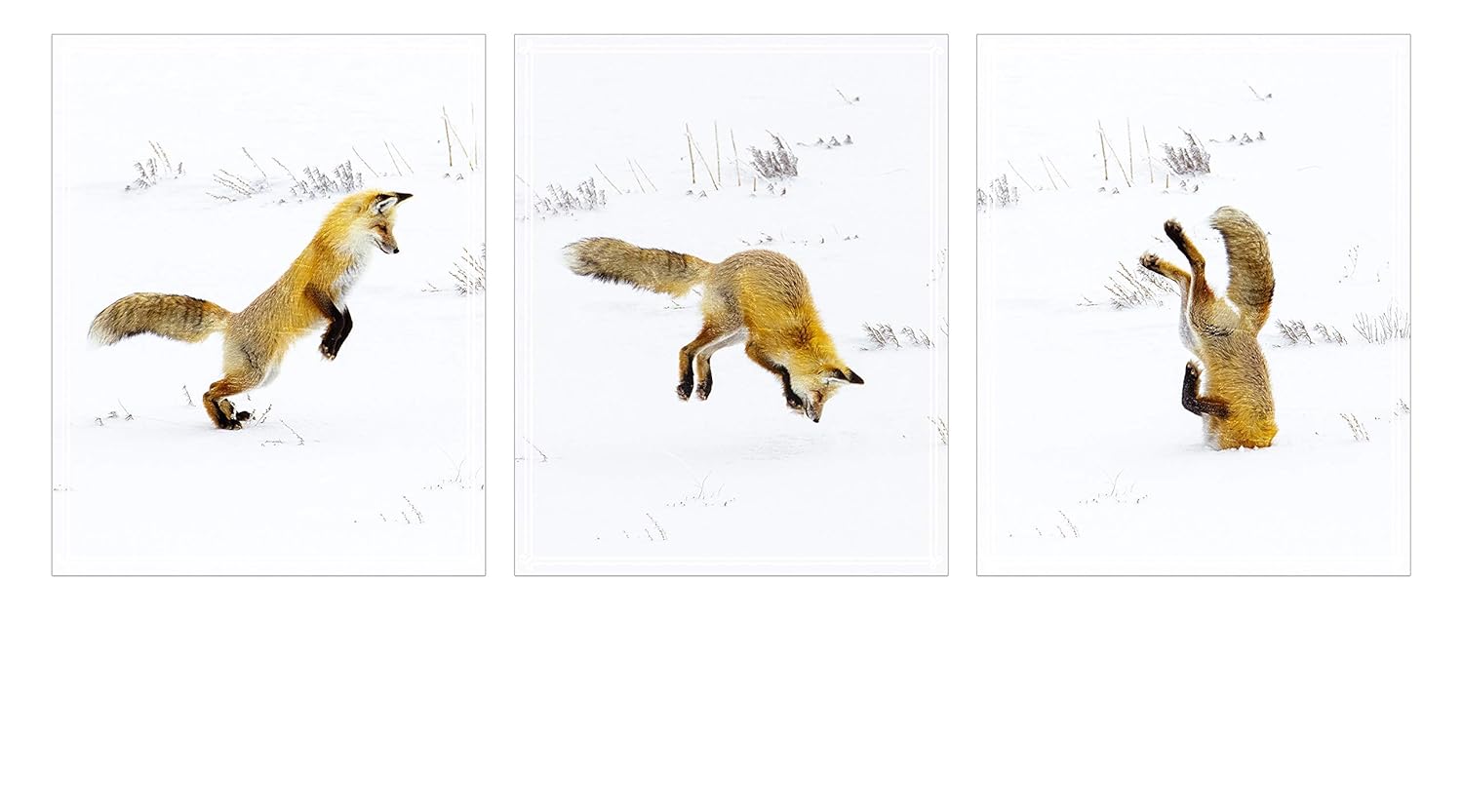 baby fox nursery decor