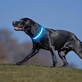 PcEoTllar Light Up Dog Collar 8 Modes USB Rechargeable Blue 7 Colors view 2