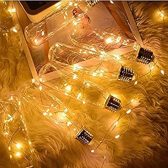 MIRADH Battery Operated Hanging Lights, LED Clear Bulb Copper String Lights, 10ft 8 Bulbs Warm White Globe LED Wire Hanging Light for Christmas Halloween Wedding Party Indoor Outdoor Decor (Bottle)