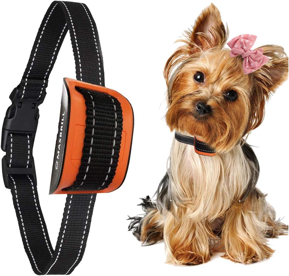 best bark collar 2018