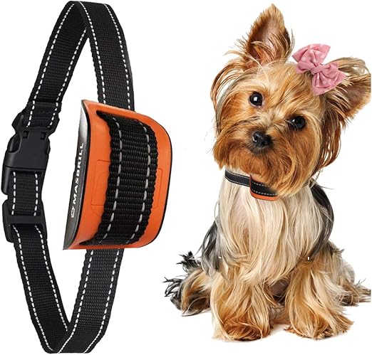 human shock collar amazon