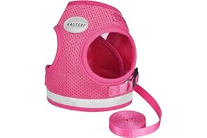 GAUTERF Cat Harnesses and Puppy Harness with Leashes Set, Escape Proof Cat Harness, Adjustable Reflective Soft Mesh Vest Fit Puppy Kitten Rabbit Ferrets's Outdoor Harness