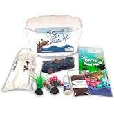 African Dwarf Frog Starter Kit with Certificate for 2 Live Frogs, Aquarium | 2 live young pet aquatic frogs, easy to care for and includes the supplies needed for their habitat and care