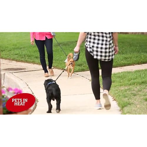 simple solution disposable dog diapers