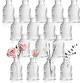 DomeStar 16PCS Glass Bud Vases Set for Bouquet, Mini Clear Vintage Clear Cylinder Vases for Flowers, Small Flower Vase Suitable for Birthday Party, Anniversary, Wedding, Baby Shower Party Home Decor