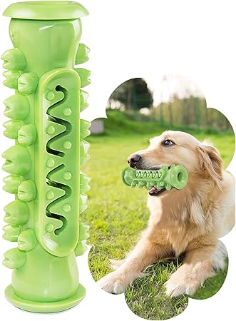 dog teeth cleaning supplies