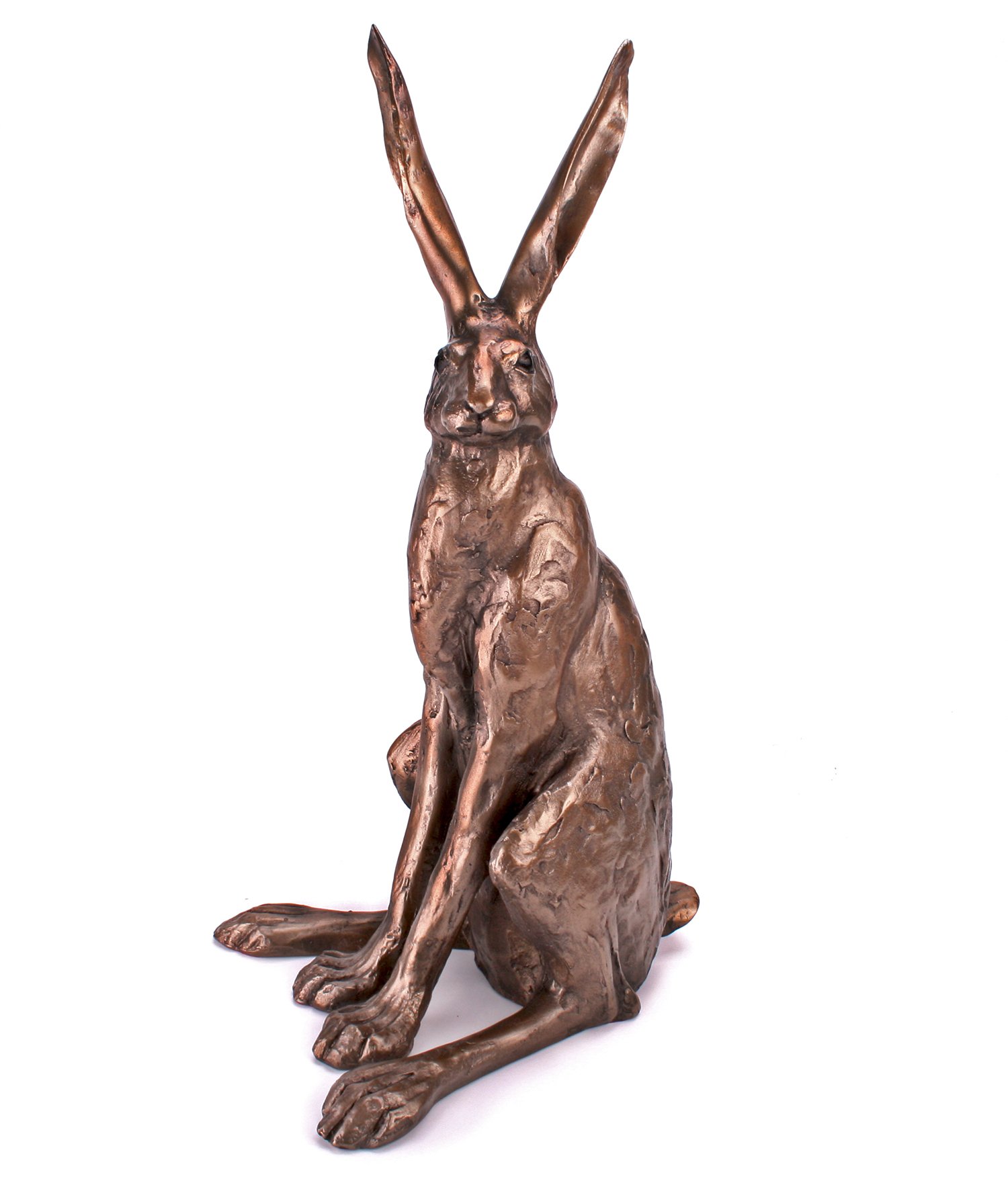 'Sitting Hare' Large Bronze Hare Sculpture by Paul Jenkins Frith Buy