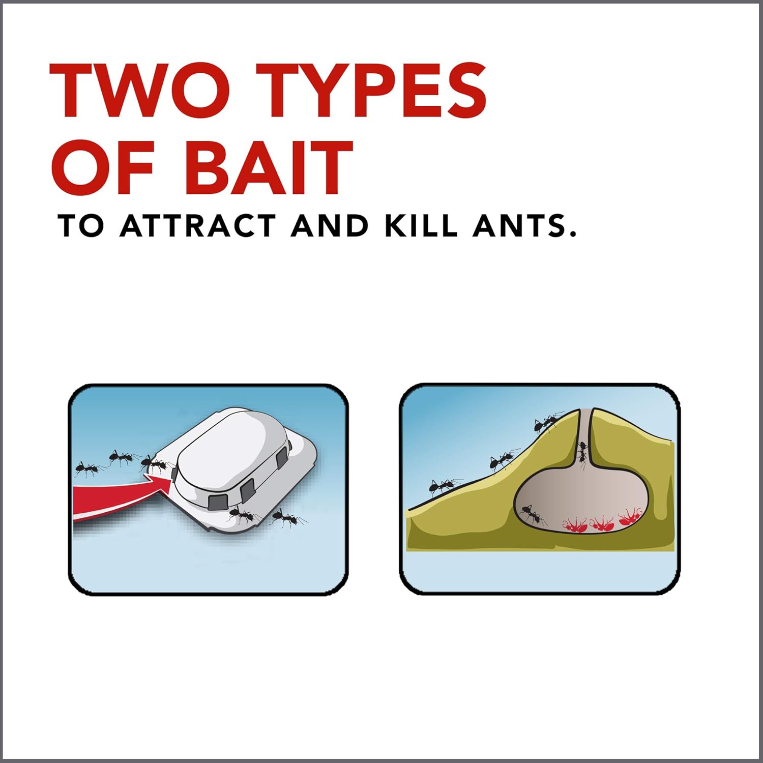 Raid Max Double Control Ant Baits, 0.28 oz, 8 CT (1): Health & Personal Care