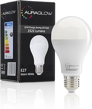 Light Bulb, Warm White, 1521 Lumens 