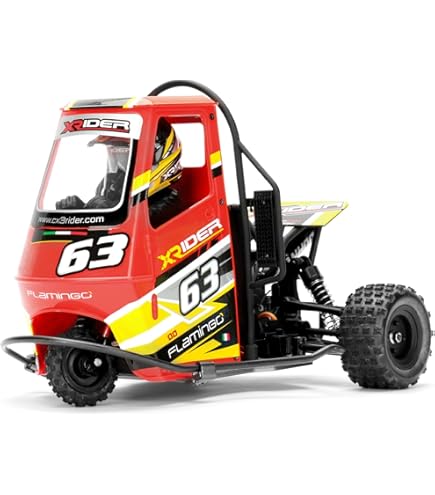 Amazon.com: HTLNUZD 1/8 RC X-Rider Flamingos 2.4G 3WD 2 in 1