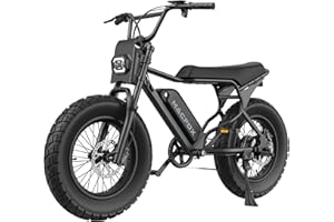 MACFOX X7 Electric Bike for Adults, 750W EBike with Hydraulic Brakes, 48V 13Ah Removable Battery 30 Mile Range, Upgraded 20x5.0 Rear Fat Tire for School/City/Town Commuting (UL2849 & Class-2)
