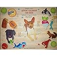Trader Joe's Advent Calendar for Dogs - Salmon and Sweet Potato Dog Treats