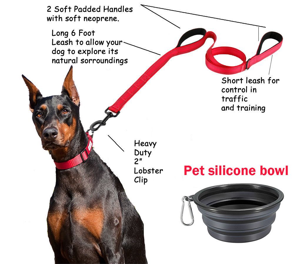HooTech Dog Leash & Collapsible Pet Feeding Bowl,Dog Training Leash Reflective Durable Training Rope,Double Handle Lead for Control Safety Training,Perfect for Large/Medium Dog(150cm Long) (Red)