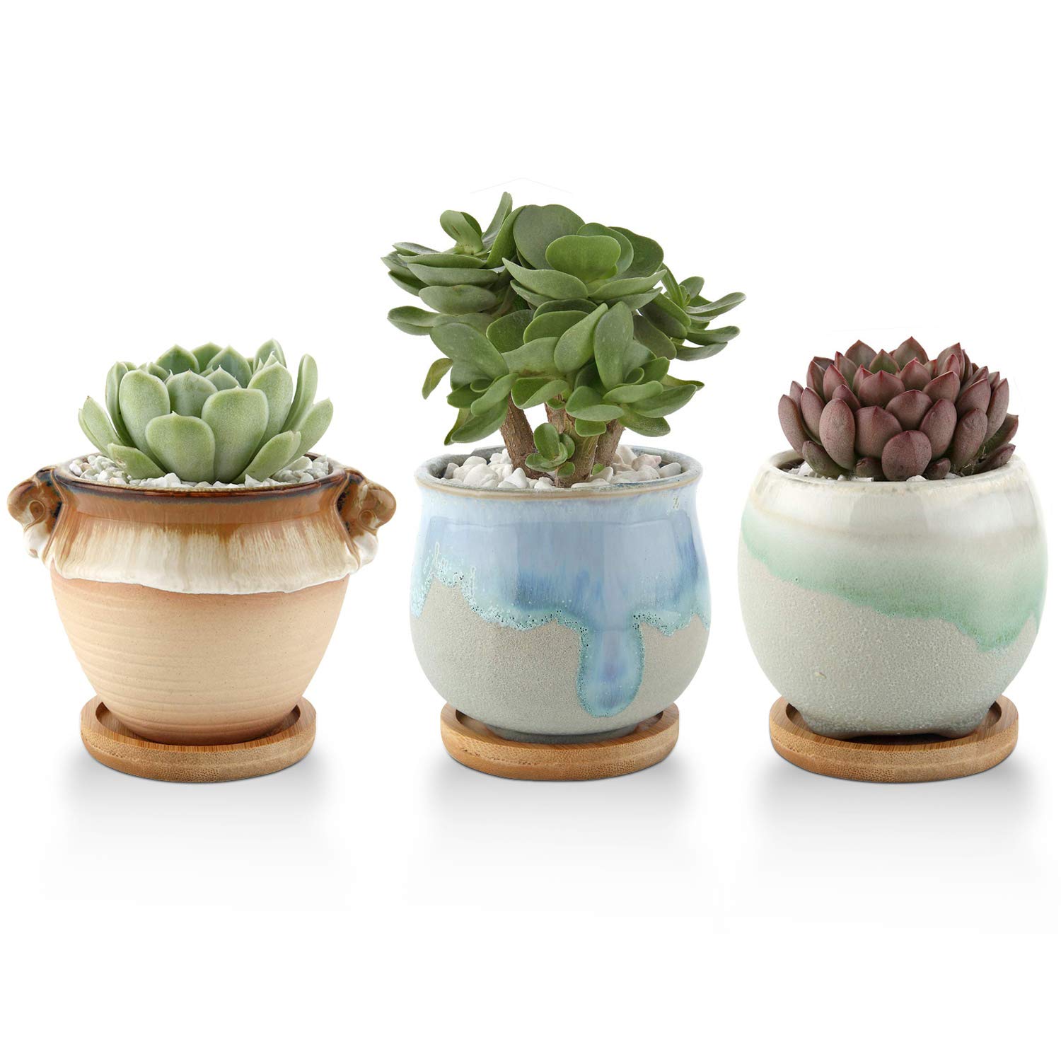 T4u 3 Inch Ceramic Succulent Planter Pots With Bamboo Tray | Desertcart  Botswana