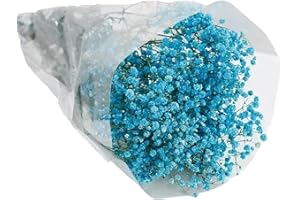 Dried Baby ' s Breath Flower 19.7Inch Natural Dry Gypsophila for Vase Arrangements Home Decoration Wedding Bouquets Arrangeme