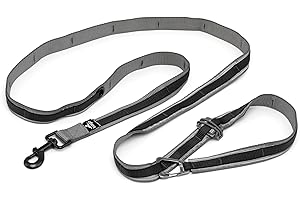 Kurgo 6 in 1 Quantum Leash, Hands Free Leash for Dogs, Running Belt Lead, Crossbody & Waist Belt Style, Reflective, Carabiner Clip, for Training, Hiking, or Jogging, 4 Colors