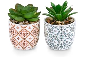 Karlliu Artificial Plants Succulent Flowers in Ceramic Planter 2 Pack Small Fake Plants Potted for Home Office Desk Decor Farmhouse Living Room Bedroom Shelves Decoration