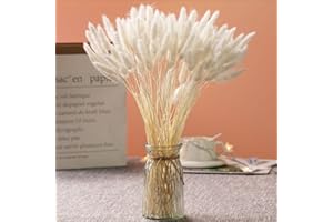 JTODER Natural Dried Bunny Tail Grass - 110~120 Stems Rabbit Tail Grass, Lagurus Ovatus for Boho Decor, Dried Pampas Grass Flower Arrangements Wedding Home Kitchen Office Decor (White)