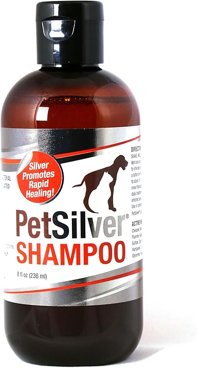 colloidal silver shampoo for dogs