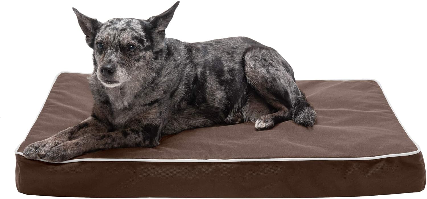 Furhaven Pet Dog Bed Cover - Deluxe Mat Ultra Plush Faux Fur Traditional Foam Mattress Pet Bed Replacement Cover for Dogs and Cats, Gray, Jumbo : Pet Supplies