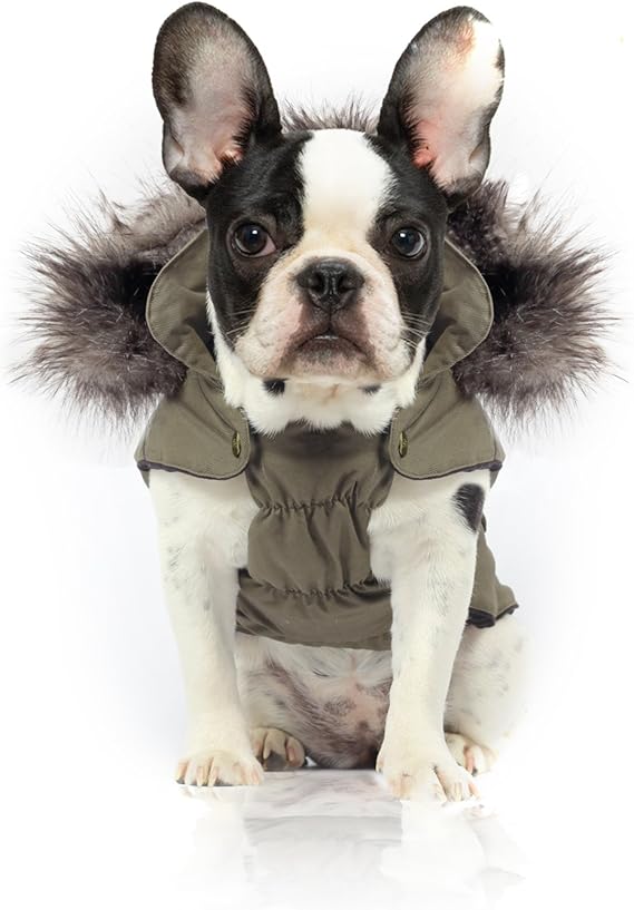 Doudoune bouledogue francais Clearance