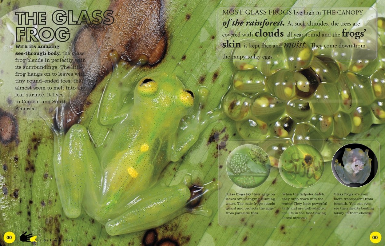 Glass Frog Books Address Compare Prices For Glass Frog Games Across