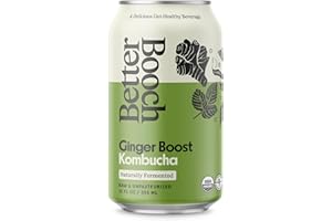 Better Booch Organic Kombucha - Probiotic & Antioxidant Rich Raw Sparkling Tea - Low Sugar, Vegan, Gluten Free - Gut Healthy Active Cultures, 12 Fl Oz Cans, 12-Pack (Ginger Boost)