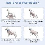 FEimaX Dog Recovery Suit After Surgery XS Blue 95% Cotton Lycra view 6
