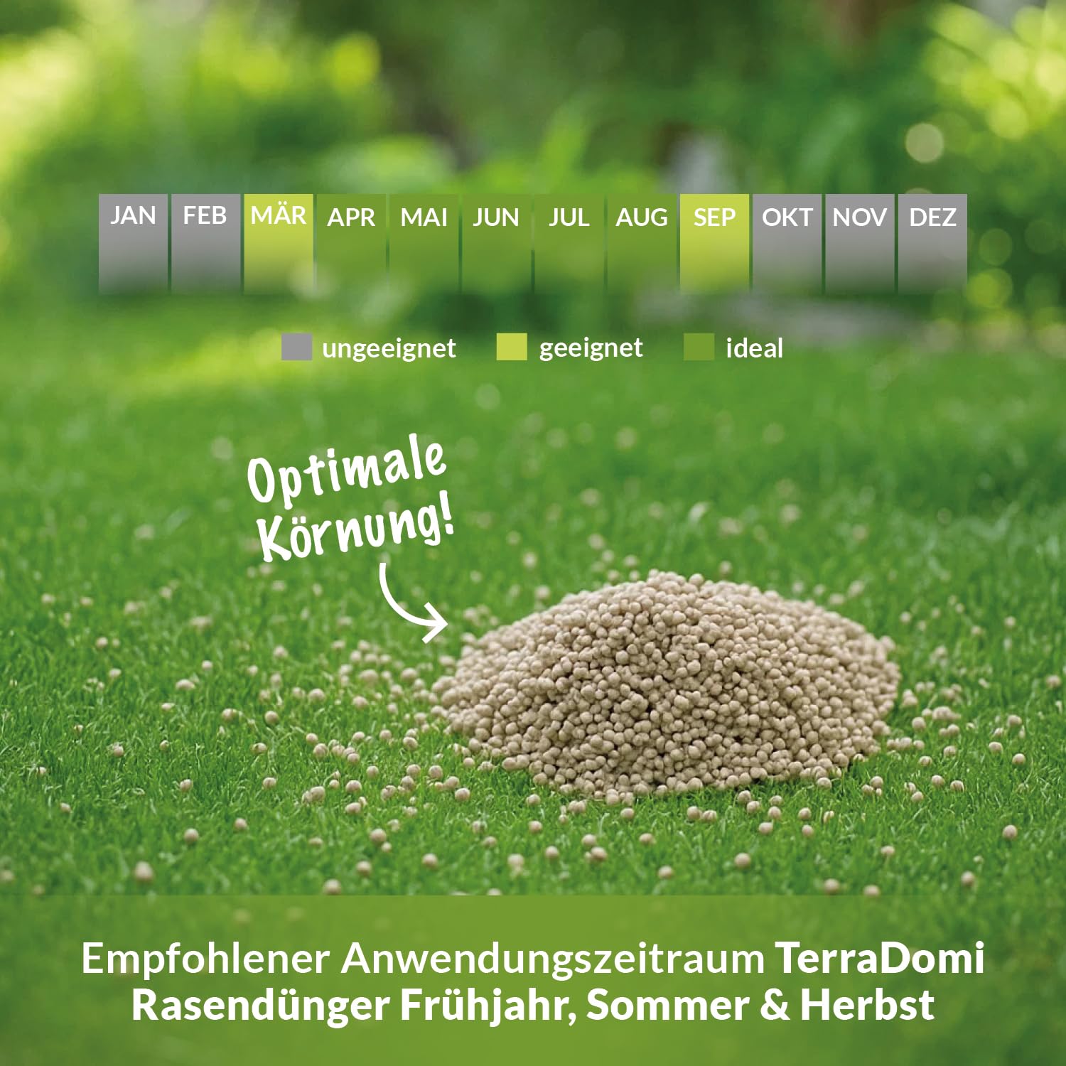 TerraDomi Rasendünger Sommer 20kg NPK 15-15-15 für 1000 m² 5