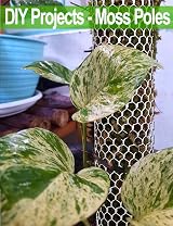 TOYPOPOR 16in x 15ft Plastic Chicken Wire Mesh with 20 Zip Ties view 4