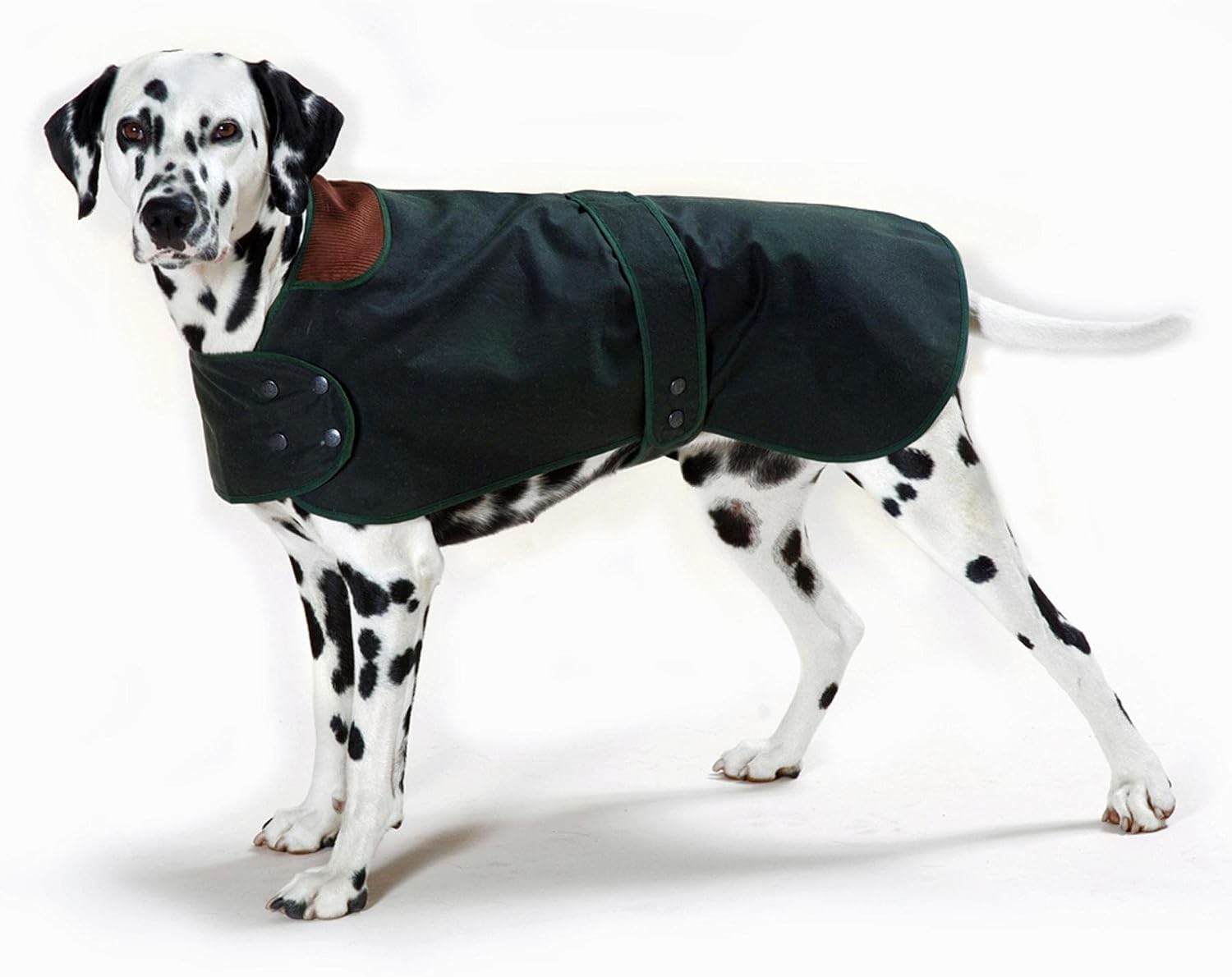 Cosipet Hunter Coat, 14-inch/ 35 cm, Green, 14-inch/35 cm