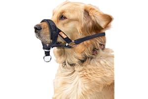 wintchuk Dog Head Collar with Soft Fabric, Head Harness Stops Dog Pulling, Head Leash for Small Medium Large Dogs Walking (L, Black)