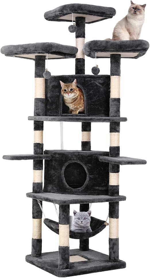 personalized therapy dog vest