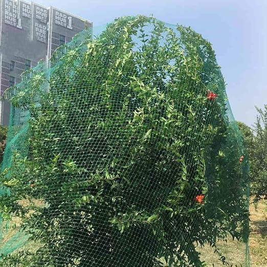 JIAYUAN Malla antipájaros de Tela Verde, Malla Verde para Plantas ...