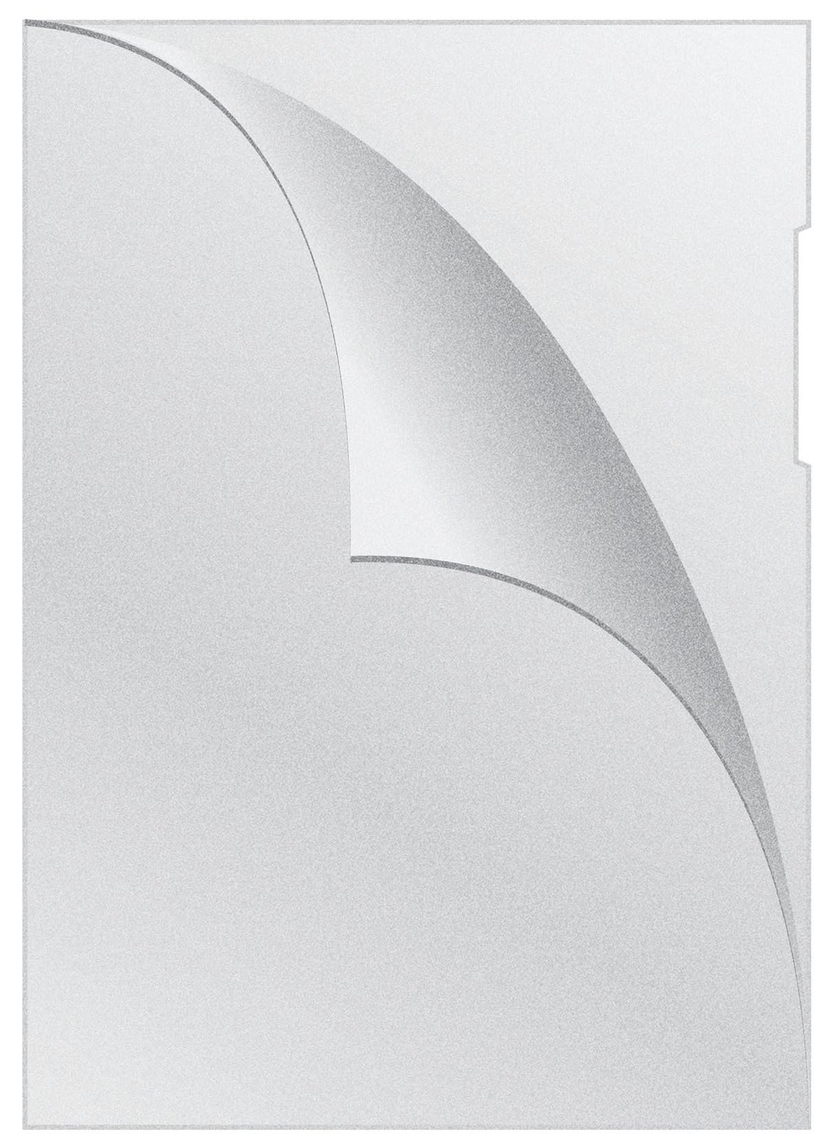 Q-CONNECT KF00310 Plastic Wallets A4 / Pack of 100 A4 Punched Pockets / 100 Pieces Poly Pockets Grained/for Binders 120 Micron/Open at The Top and Right with Cut-Out